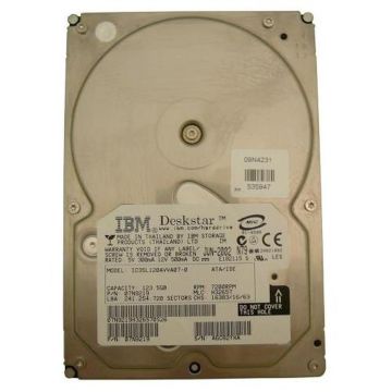 09N4231 - IBM 120GB 7200RPM ATA 100 3.5 2MB Cache Hard Drive