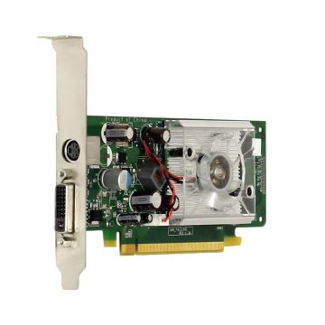 445681-001 - HP Nvidia GeForce 8400GS PCI-Express x16 256MB 400MHz DVI / TV Out Video Graphics Card