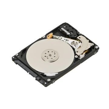 44X3245 - IBM 1TB 7200RPM SATA 3GB/s E-DDM INT 3.5-inch Hard Drive with Tray