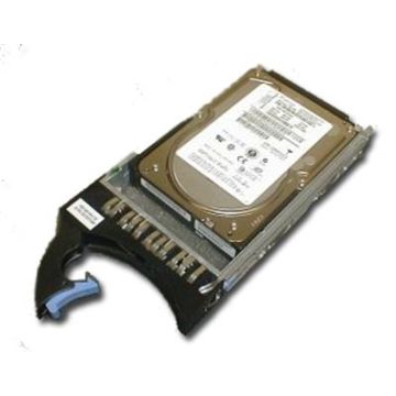 45W2344 - IBM 300GB 15000RPM Fibre Channel 4Gbps Hot Swap 16MB Cache 3.5-inch Internal Hard Drive for DS6000 and DS8000