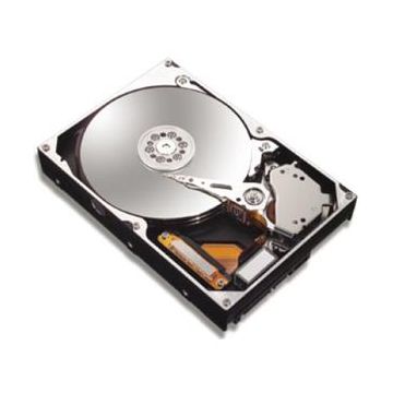 7B250S0 - Maxtor MaXLine III III 250GB 3.5 Internal Hard Drive - SATA/150 - 7200 rpm - 16 MB Buffer - Hot-Swap