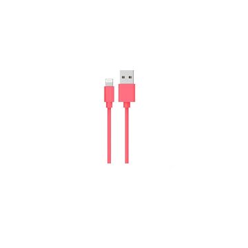 AM001003 - Foxsun Lightning cable - 3.3 ft