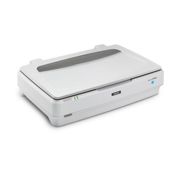 B11B257201 - Epson Expression 1300XL 2400 x 4800 dpi 25 ppm USB Desktop Color Flatbed Document Scanner