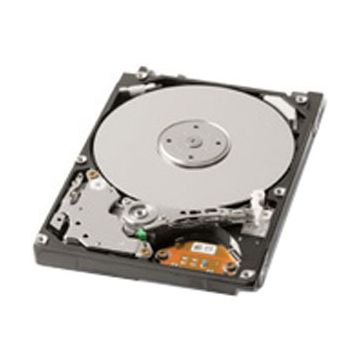 G170F - Dell 320GB 2.5-inch Plug-in Module Hard Disk Drive - SATA/300 - 5400 rpm - 8 MB Buffer