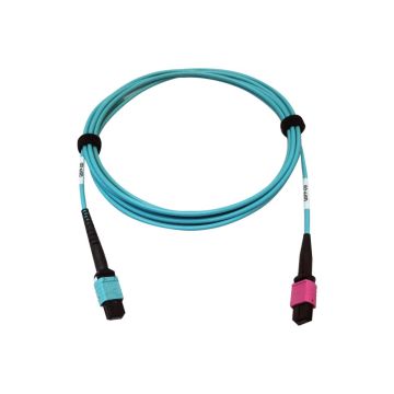 N846D-03M-24DAQ - Tripp Lite Fiber 24F Mtp/Mpoupc 16F Mtp/Mpoupc 3M