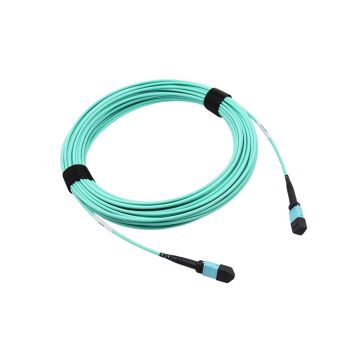R1N73A - HP 20m Single-mode 24 Fibre MPO to 24 Fibre MPO Cable