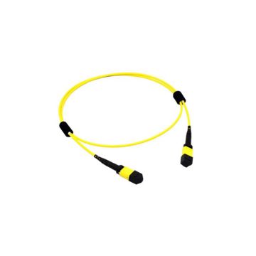 R1N78A - HP 1m Single-mode 24 Fibre MPO to 24 Fibre MPO Cable