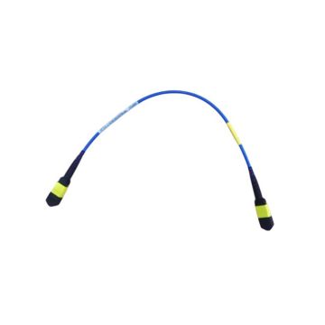 R1N96A - HP 0.25m Single-mode 25GbE 24 Fibre MPO to 24 Fibre MPO Cable
