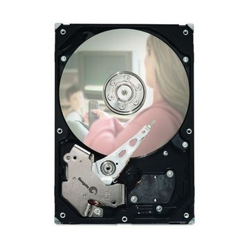 ST3300820SCE - Seagate DB35 Series 300GB 7200RPM 8MB Cache SATA 3Gb/s 3.5-inch Hard Disk Drive