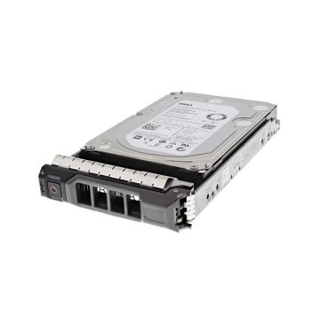 W907G - Dell 1TB SATA 3Gb/s Hot Swap 5400RPM 3.5-inch Internal Hard Drive with Tray for PowerEdge G13