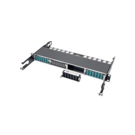 N484-12M24 - Tripp Lite 100Gb/120Gb Pass-Through Cassette 12 24-Fiber Mtp/Mpo