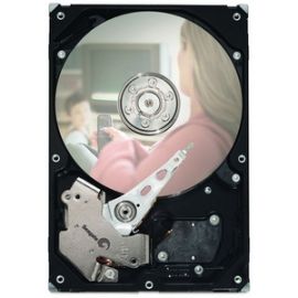ST3250824SCE - Seagate DB35 Series 250GB 7200RPM 8MB Cache SATA 3Gb/s 3.5-inch Hard Disk Drive
